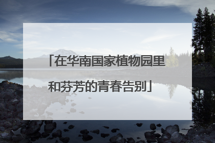 在华南国家植物园里和芬芳的青春告别