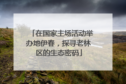 在国家主场活动举办地伊春，探寻老林区的生态密码
