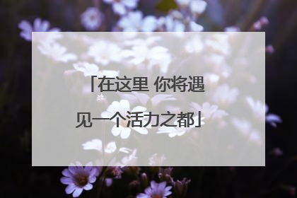 在这里 你将遇见一个活力之都