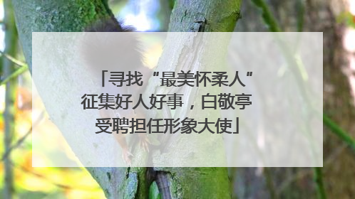 寻找“最美怀柔人”征集好人好事，白敬亭受聘担任形象大使