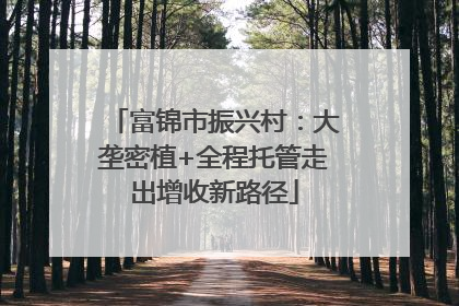 富锦市振兴村：大垄密植+全程托管走出增收新路径