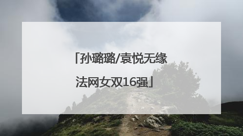孙璐璐/袁悦无缘法网女双16强