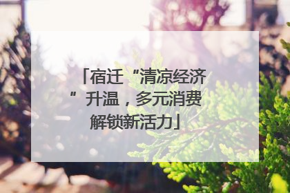宿迁“清凉经济”升温，多元消费解锁新活力