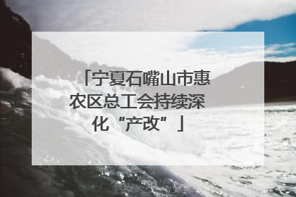 宁夏石嘴山市惠农区总工会持续深化“产改”