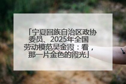 宁夏回族自治区政协委员、2025年全国劳动模范吴金霞：看，那一片金色的霞光