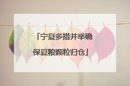 宁夏多措并举确保夏粮颗粒归仓