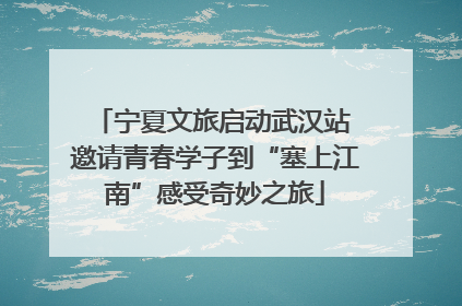 宁夏文旅启动武汉站 邀请青春学子到“塞上江南”感受奇妙之旅
