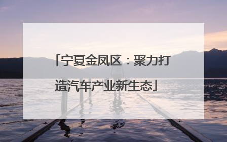 宁夏金凤区：聚力打造汽车产业新生态