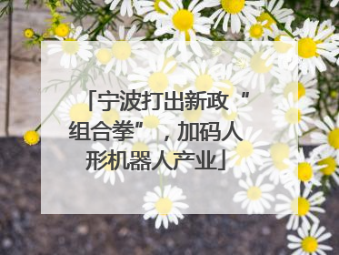 宁波打出新政“组合拳”，加码人形机器人产业