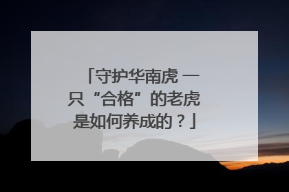守护华南虎 一只“合格”的老虎是如何养成的？