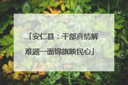 安仁县：干部真情解难题一面锦旗映民心
