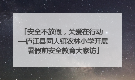 安全不放假，关爱在行动——庐江县同大镇农林小学开展暑假前安全教育大家访