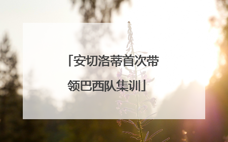 安切洛蒂首次带领巴西队集训