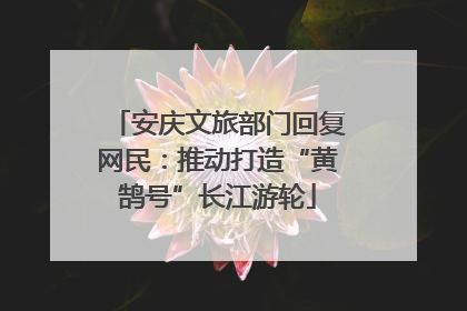 安庆文旅部门回复网民：推动打造“黄鹄号”长江游轮