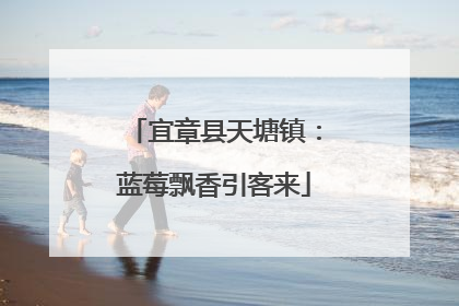 宜章县天塘镇：蓝莓飘香引客来