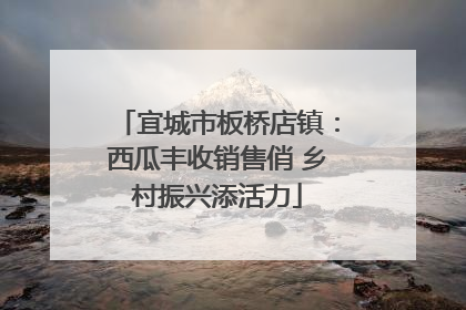 宜城市板桥店镇：西瓜丰收销售俏 乡村振兴添活力
