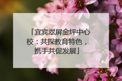 宜宾翠屏金坪中心校：共探教育特色，携手共促发展