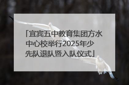 宜宾五中教育集团方水中心校举行2025年少先队退队暨入队仪式