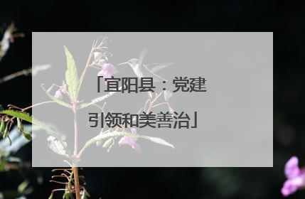 宜阳县：党建引领和美善治