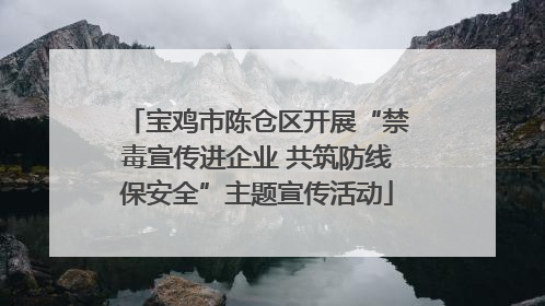 宝鸡市陈仓区开展“禁毒宣传进企业 共筑防线保安全”主题宣传活动