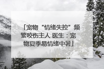 宠物“情绪失控”频繁咬伤主人 医生：宠物夏季易情绪中暑