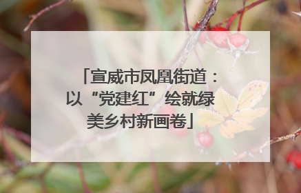 宣威市凤凰街道：以“党建红”绘就绿美乡村新画卷