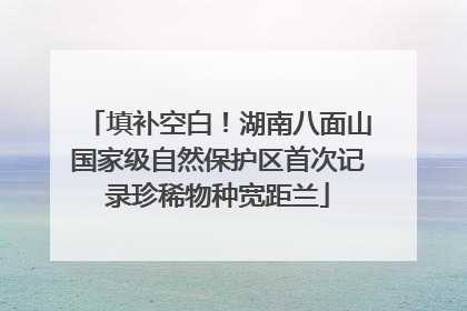 填补空白！湖南八面山国家级自然保护区首次记录珍稀物种宽距兰