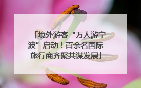境外游客“万人游宁波”启动！百余名国际旅行商齐聚共谋发展