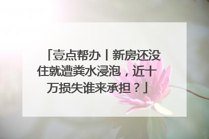 壹点帮办丨新房还没住就遭粪水浸泡，近十万损失谁来承担？