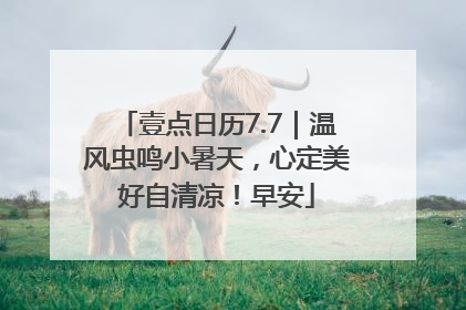 壹点日历7.7｜温风虫鸣小暑天，心定美好自清凉！早安