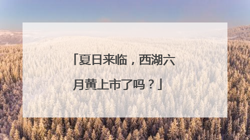 夏日来临，西湖六月黄上市了吗？