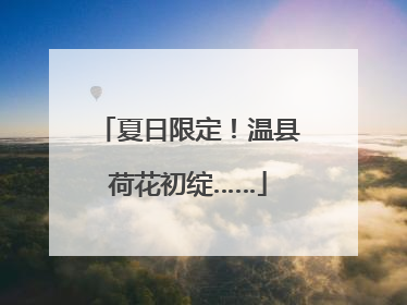 夏日限定！温县荷花初绽……