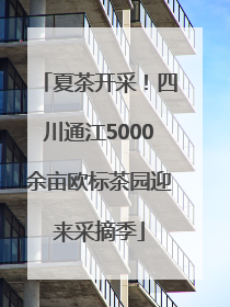 夏茶开采！四川通江5000余亩欧标茶园迎来采摘季