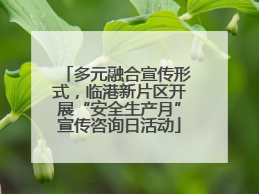 多元融合宣传形式，临港新片区开展“安全生产月”宣传咨询日活动
