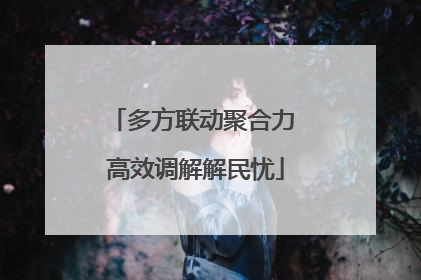 多方联动聚合力 高效调解解民忧