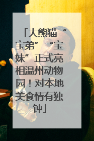 大熊猫“宝弟”“宝妹”正式亮相温州动物园！对本地美食情有独钟