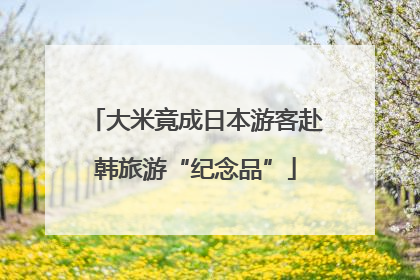 大米竟成日本游客赴韩旅游“纪念品”