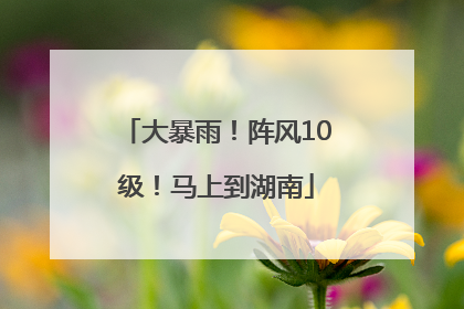 大暴雨！阵风10级！马上到湖南