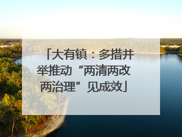 大有镇：多措并举推动“两清两改两治理”见成效