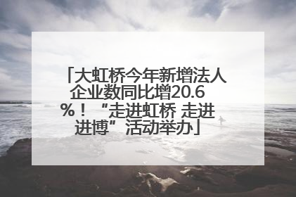 大虹桥今年新增法人企业数同比增20.6%！“走进虹桥 走进进博”活动举办