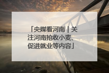 央媒看河南｜关注河南抢收小麦、促进就业等内容