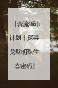 奔流城市计划丨探寻戈壁明珠生态密码