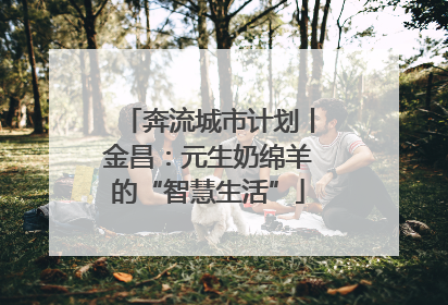 奔流城市计划丨金昌：元生奶绵羊的“智慧生活”
