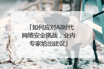 如何应对AI时代网络安全挑战，业内专家给出建议