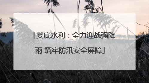 娄底水利：全力迎战强降雨 筑牢防汛安全屏障