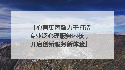 心言集团致力于打造专业泛心理服务内核，开启创新服务新体验