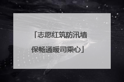 志愿红筑防汛墙 保畅通暖司乘心