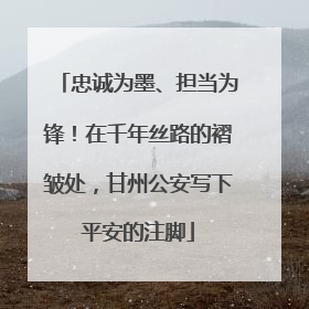 忠诚为墨、担当为锋！在千年丝路的褶皱处，甘州公安写下平安的注脚
