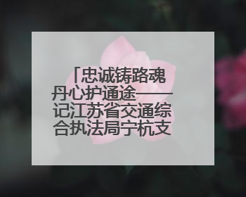 忠诚铸路魂 丹心护通途——记江苏省交通综合执法局宁杭支队第四大队外勤中队长奚强