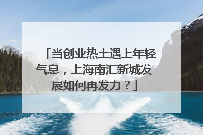 当创业热土遇上年轻气息，上海南汇新城发展如何再发力？
